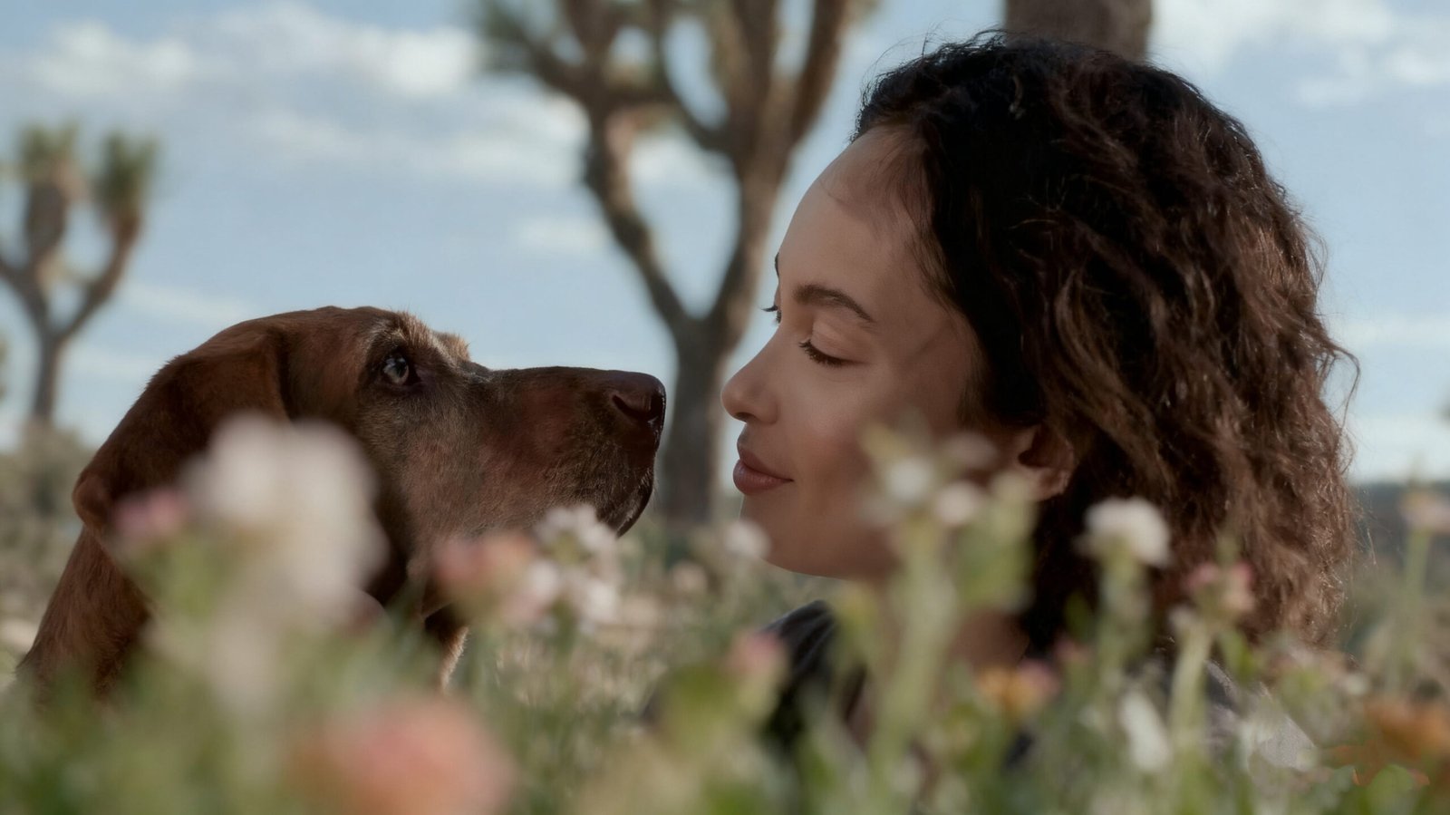 微信图片 20250916160236 76 103